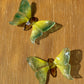 2 Porte-Couteaux papillon